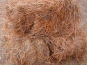 Pinestraw3