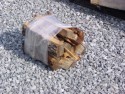 firewood3